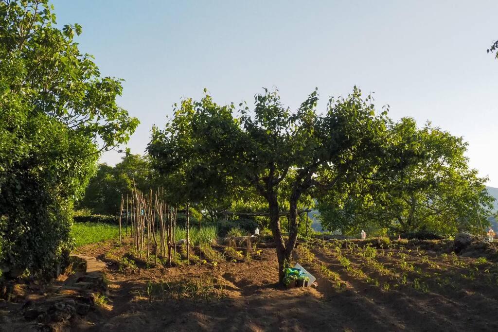 El Bosque De Los Romanos Apartment Puerto de Bejar Ngoại thất bức ảnh