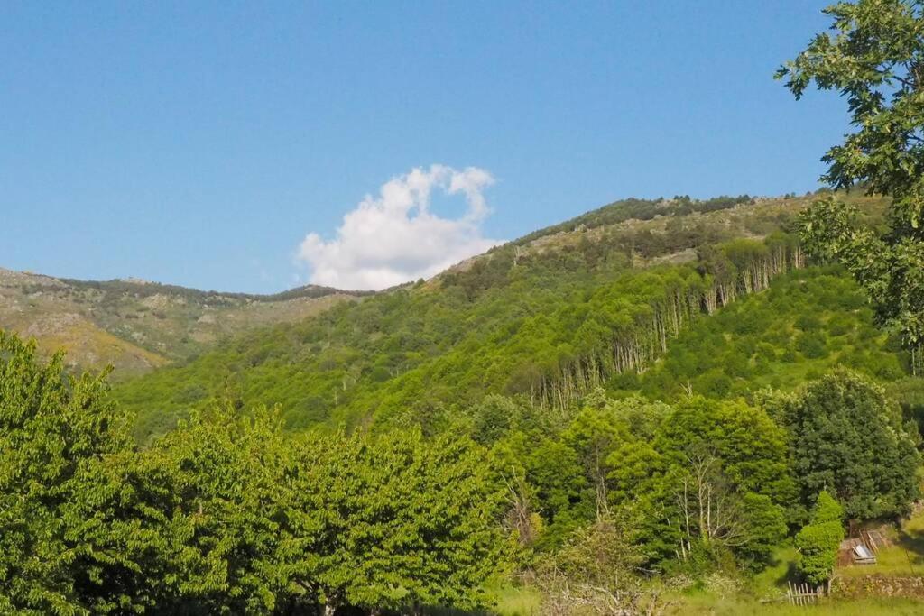 El Bosque De Los Romanos Apartment Puerto de Bejar Ngoại thất bức ảnh