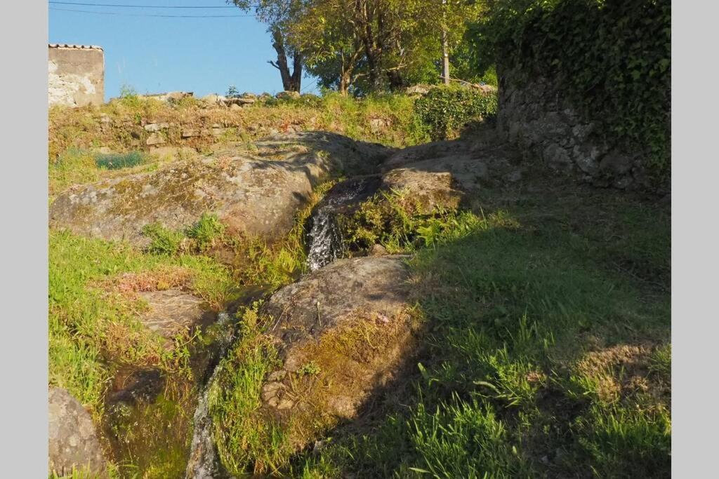 El Bosque De Los Romanos Apartment Puerto de Bejar Ngoại thất bức ảnh